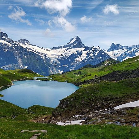 Chalet Schwendiboden Γκρίντελβαλντ Εξωτερικό φωτογραφία