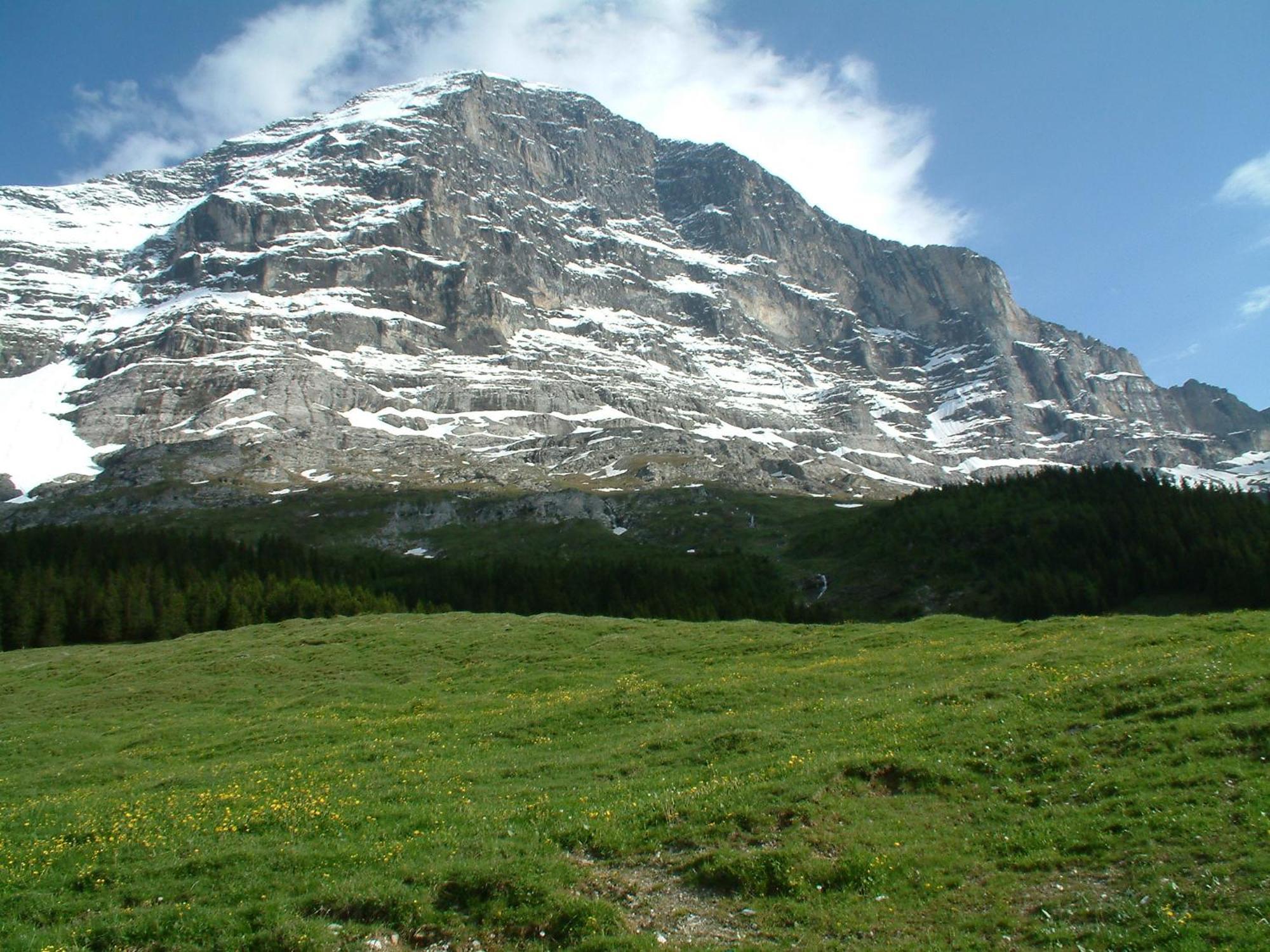 Chalet Schwendiboden Γκρίντελβαλντ Εξωτερικό φωτογραφία