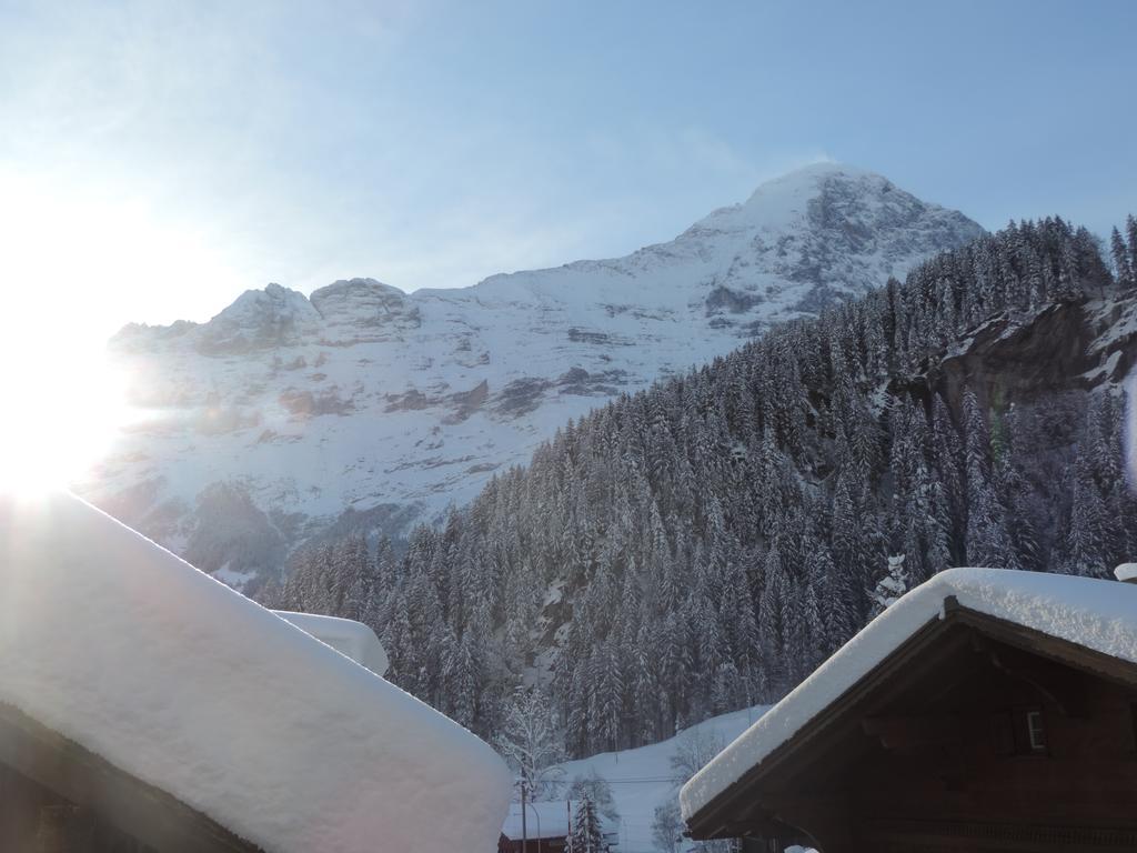 Chalet Schwendiboden Γκρίντελβαλντ Εξωτερικό φωτογραφία